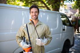 Best Termite Inspection and Treatment  in South Alamo, TX